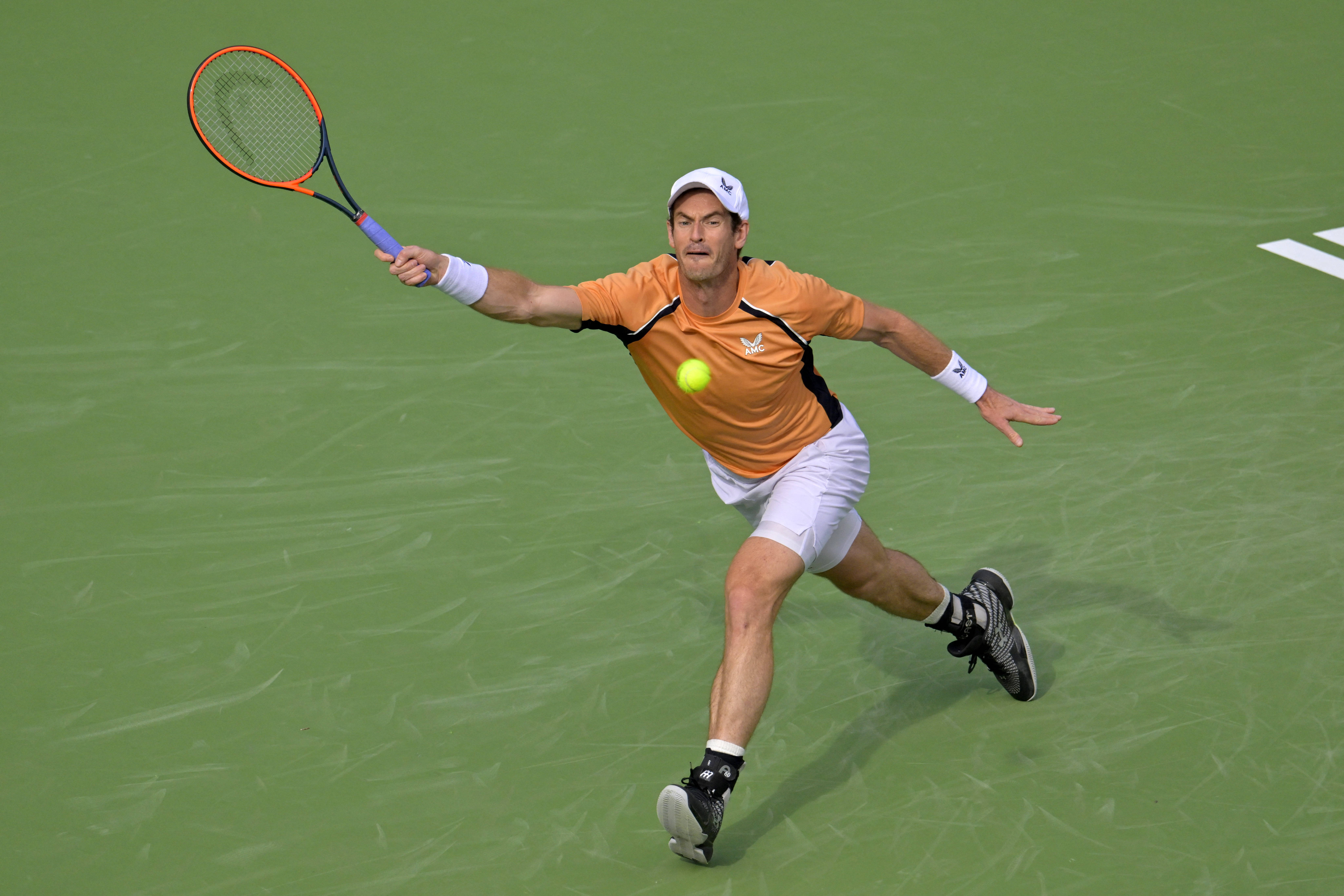 日本网球队轻取德国网球队，穆雷爆发神勇的简单介绍